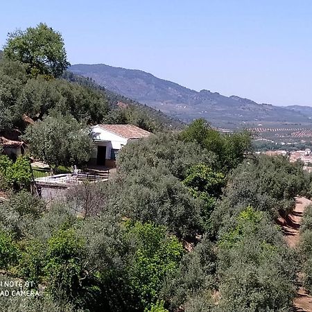 Cortijo Las Lagunillas La Puerta de Segura 외부 사진